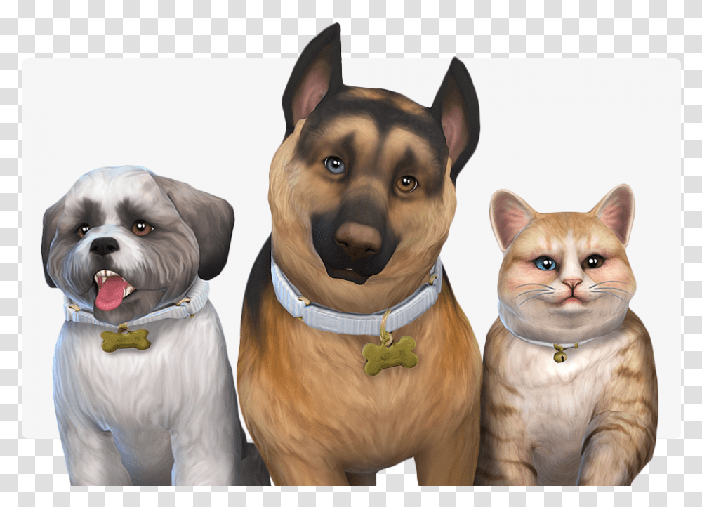 Sims 4 Eyes Pets, Dog, Canine, Animal, Mammal Transparent Png