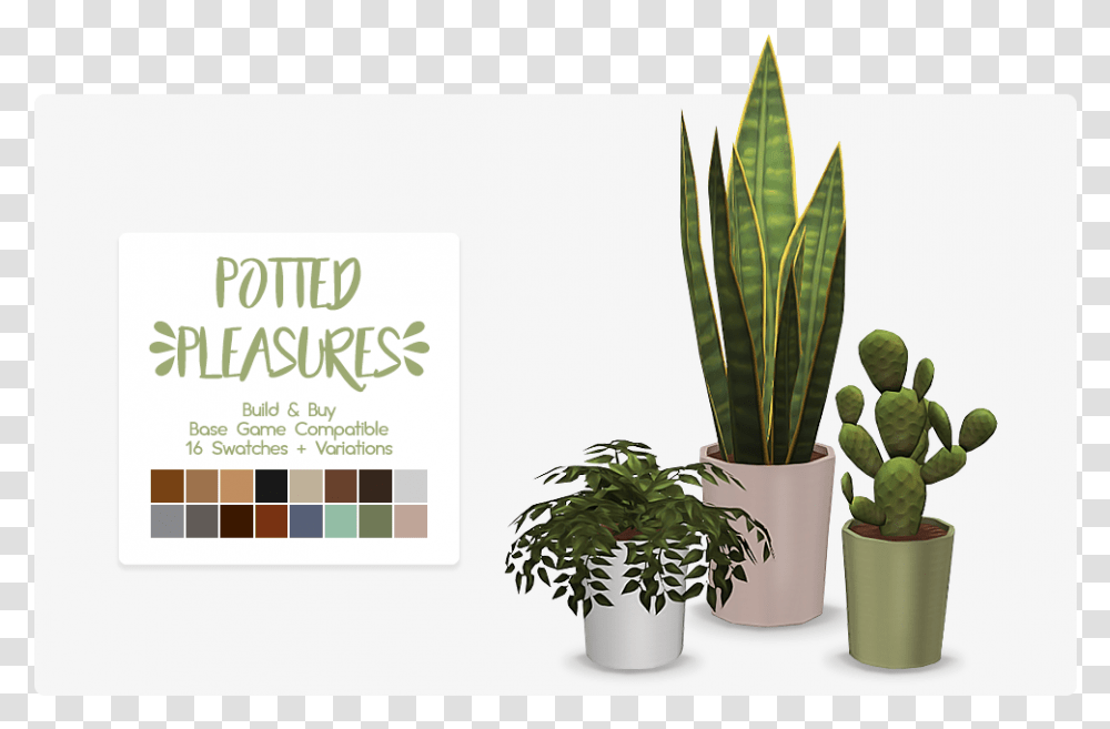 Sims 4 Maxis Match Plants, Aloe, Leaf Transparent Png