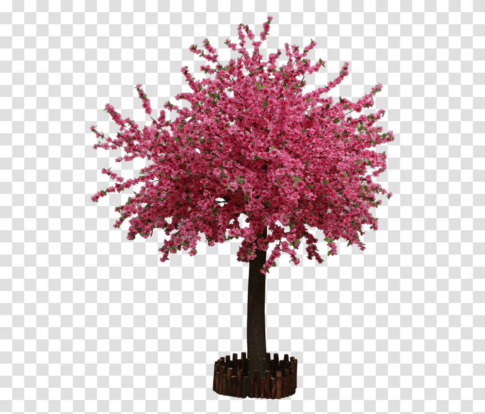 Simulation Peach Tree Plum Large Plant New Mexico Maple, Flower, Blossom, Cross, Symbol Transparent Png