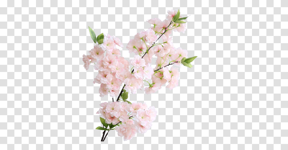 Simulation Sakura Tree Wedding Decoration Balcony Pipe Show Nhnh Hoa Anh O, Plant, Flower, Blossom, Cherry Blossom Transparent Png