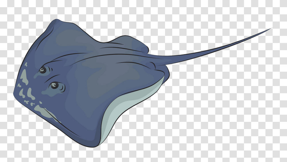 Sing Ray Cliparts For Free Freshwater Whipray, Car, Vehicle, Transportation, Automobile Transparent Png