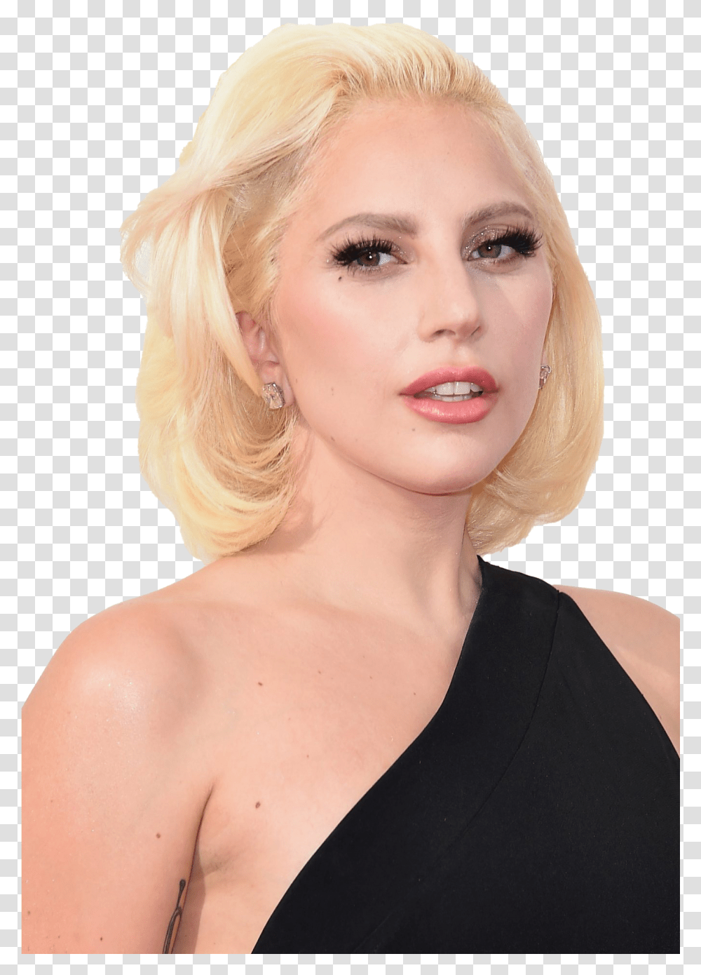 Singer Lady Gaga Images There Can Be 100 People In Room, Person, Hair, Blonde, Woman Transparent Png