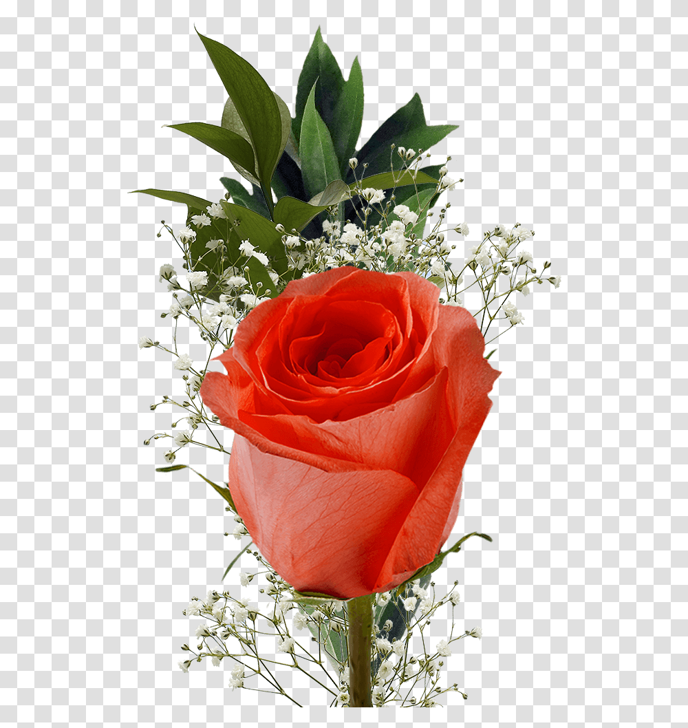 Single Assorted Color Roses Filler Flowers For Mother Single Flowers, Plant, Blossom, Flower Arrangement, Flower Bouquet Transparent Png