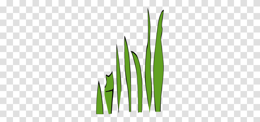 Single Blade Of Grass Clipart, Plant, Green, Leaf Transparent Png