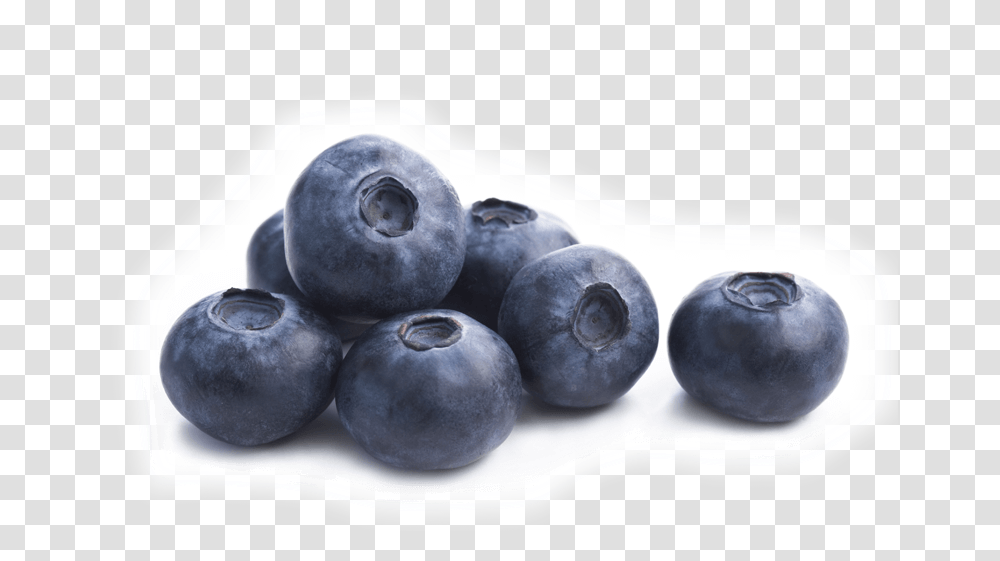 Single Blueberry Picture Foods To Increase Beauty, Plant, Fruit, Bird, Animal Transparent Png