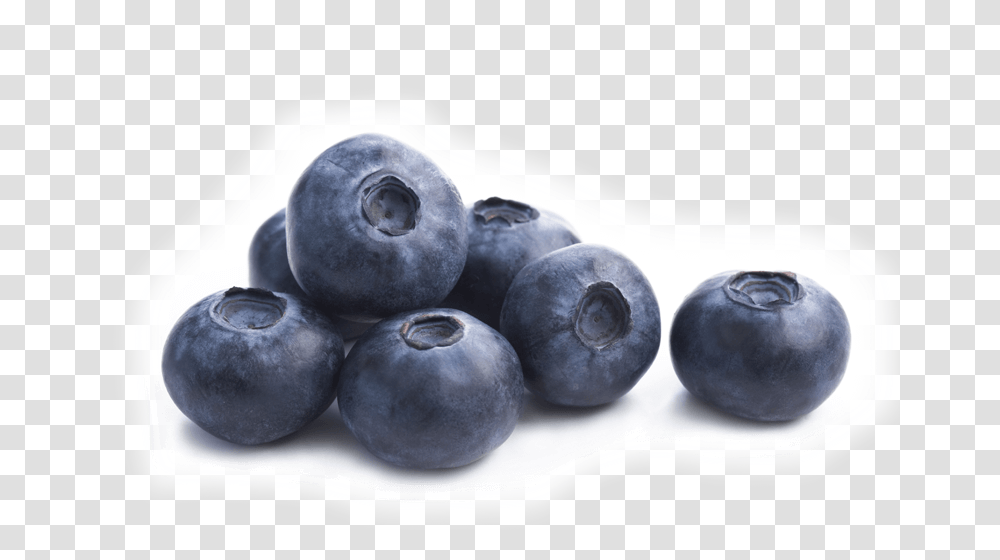 Single Blueberry, Plant, Fruit, Food Transparent Png