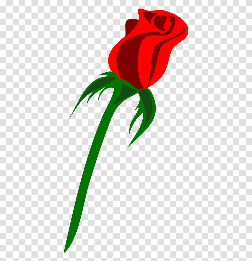 Single Bud Rose Vectors, Plant, Flower, Blossom, Dynamite Transparent Png