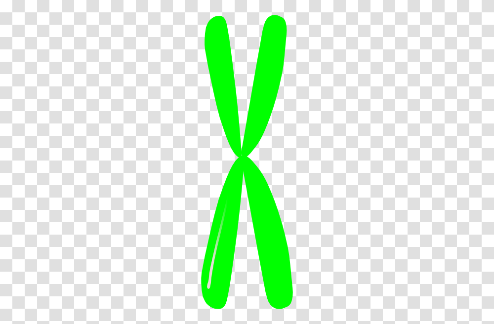 Single Chromosome Clip Arts For Web, Triangle, Logo, Trademark Transparent Png