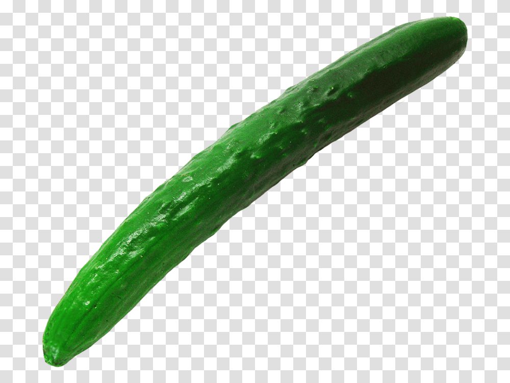 Single Cucumber Clipart Cucumber, Vegetable, Plant, Food Transparent Png