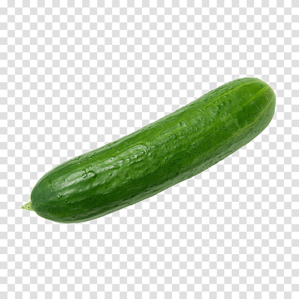 Single Cucumber Image Background Arts, Plant, Vegetable, Food Transparent Png