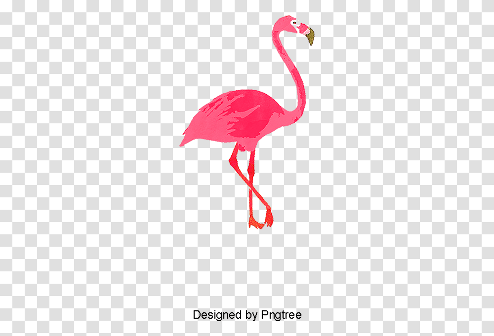Single Flamingo Bird Flamingos Red, Animal Transparent Png