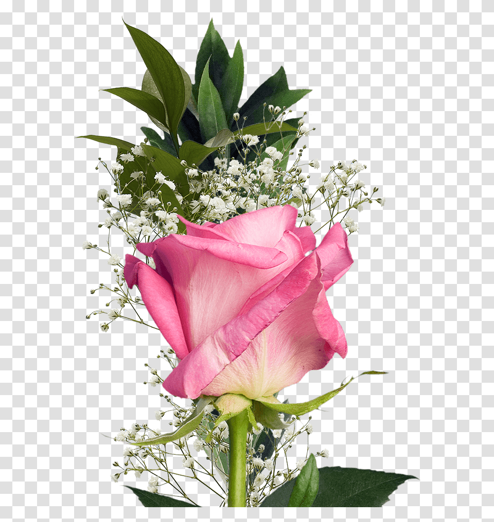 Single Flower Bouquet Assorted Color Roses And Fillers Single Flower, Plant, Blossom Transparent Png