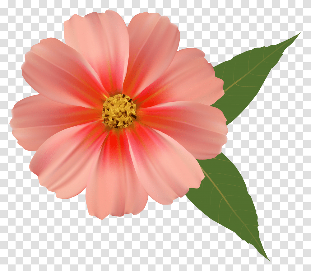 Single Flower Clipart Single Flower Background Transparent Png