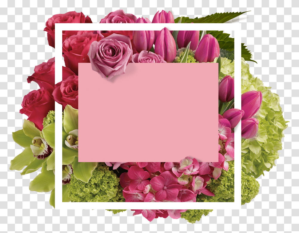 Single Flowers, Plant, Floral Design, Pattern Transparent Png