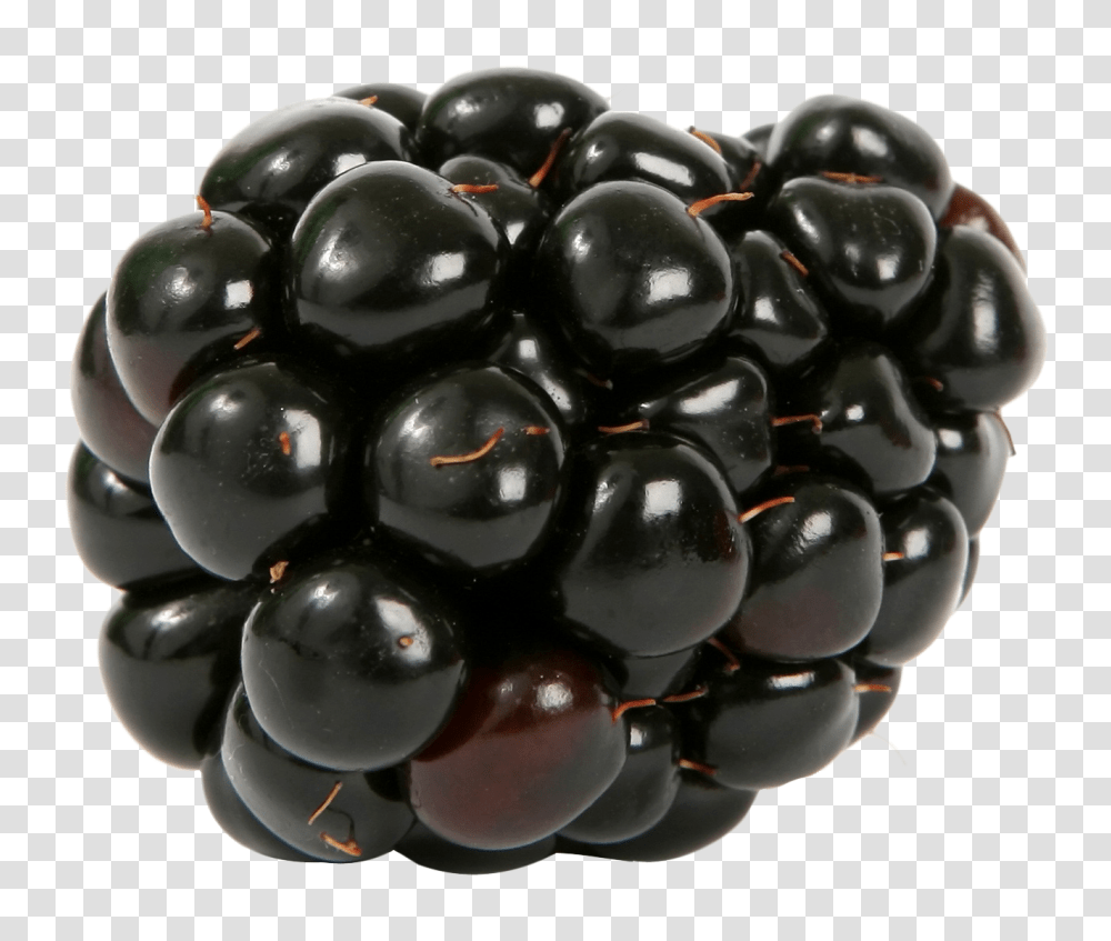Single Fresh Blackberry Image, Fruit, Plant, Food, Grapes Transparent Png