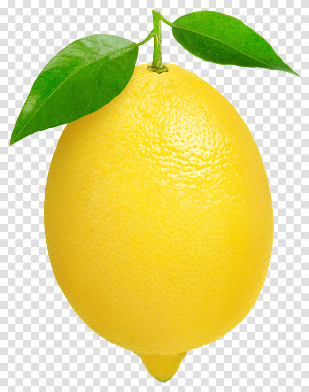 Single Lemon Lemon Clipart Transparent Png