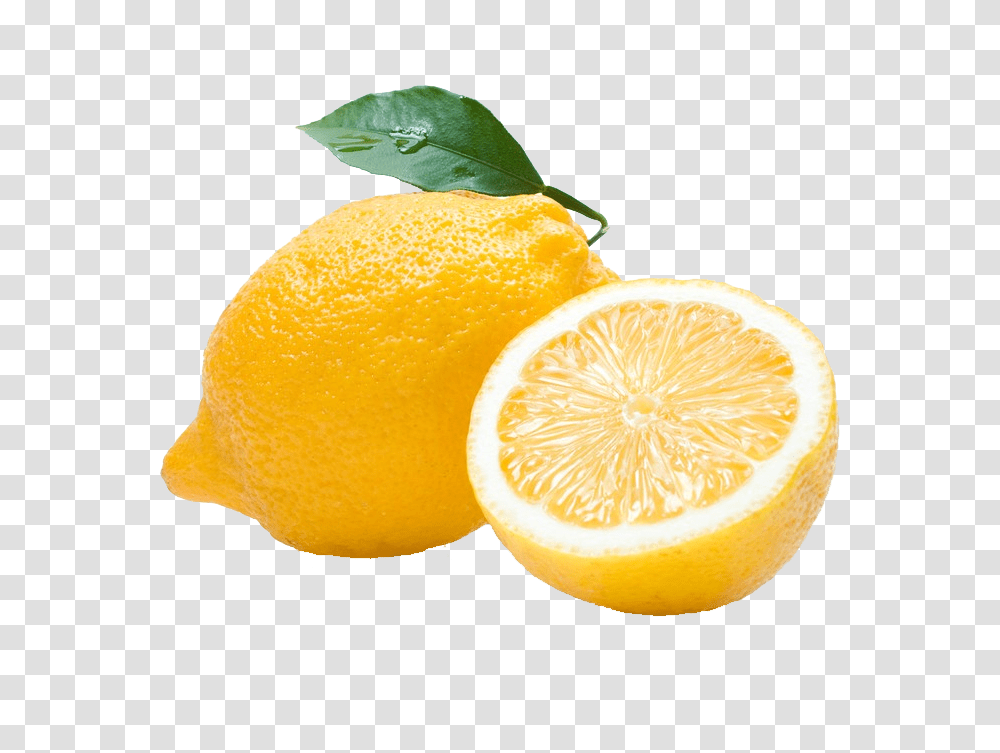 Single Lemon Lemon, Plant, Citrus Fruit, Food, Orange Transparent Png