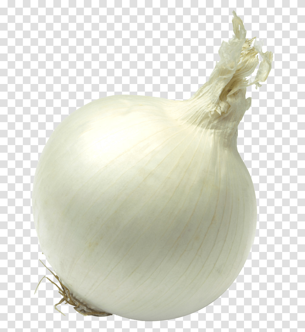 Single Onion Free Download Yellow Onion Single Vegetable Photo Hd, Plant, Food, Bird, Animal Transparent Png