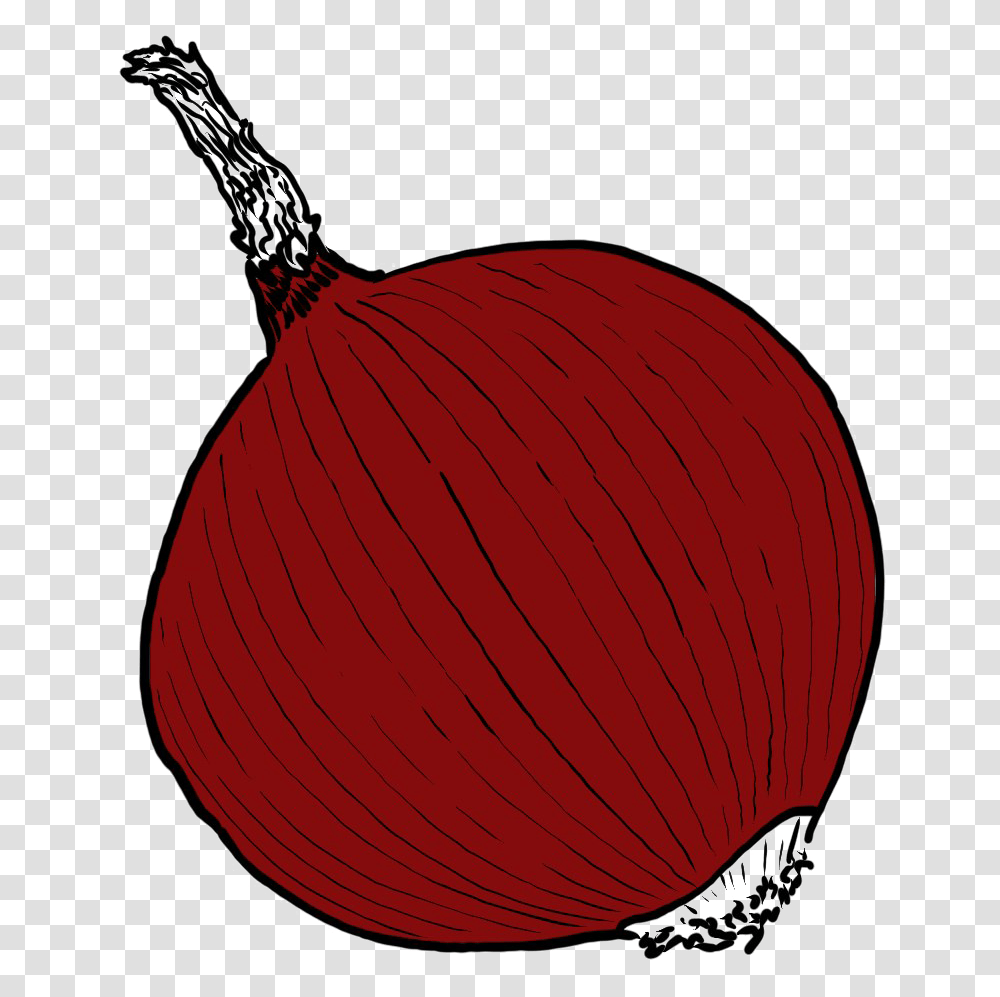 Single Onion Image Illustration, Plant, Food, Vegetable, Fruit Transparent Png