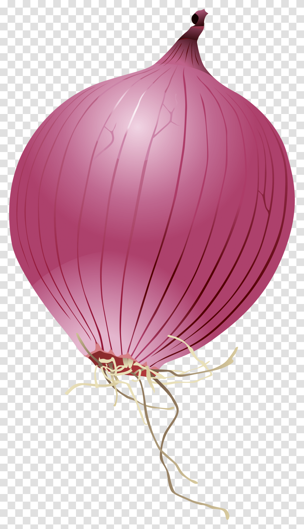 Single Onion Photo Red Onion Onion Cartoon, Ball, Balloon, Parachute Transparent Png