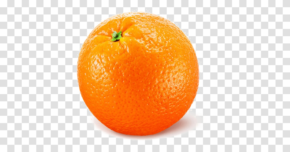 Single Orange Image Orange Fruit With Colour, Citrus Fruit, Plant, Food, Grapefruit Transparent Png
