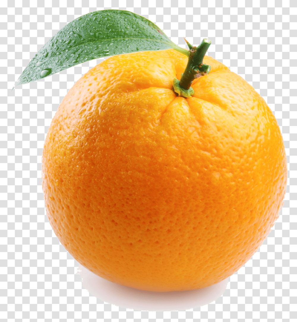Single Orange Image Things That Are Color Orange Transparent Png