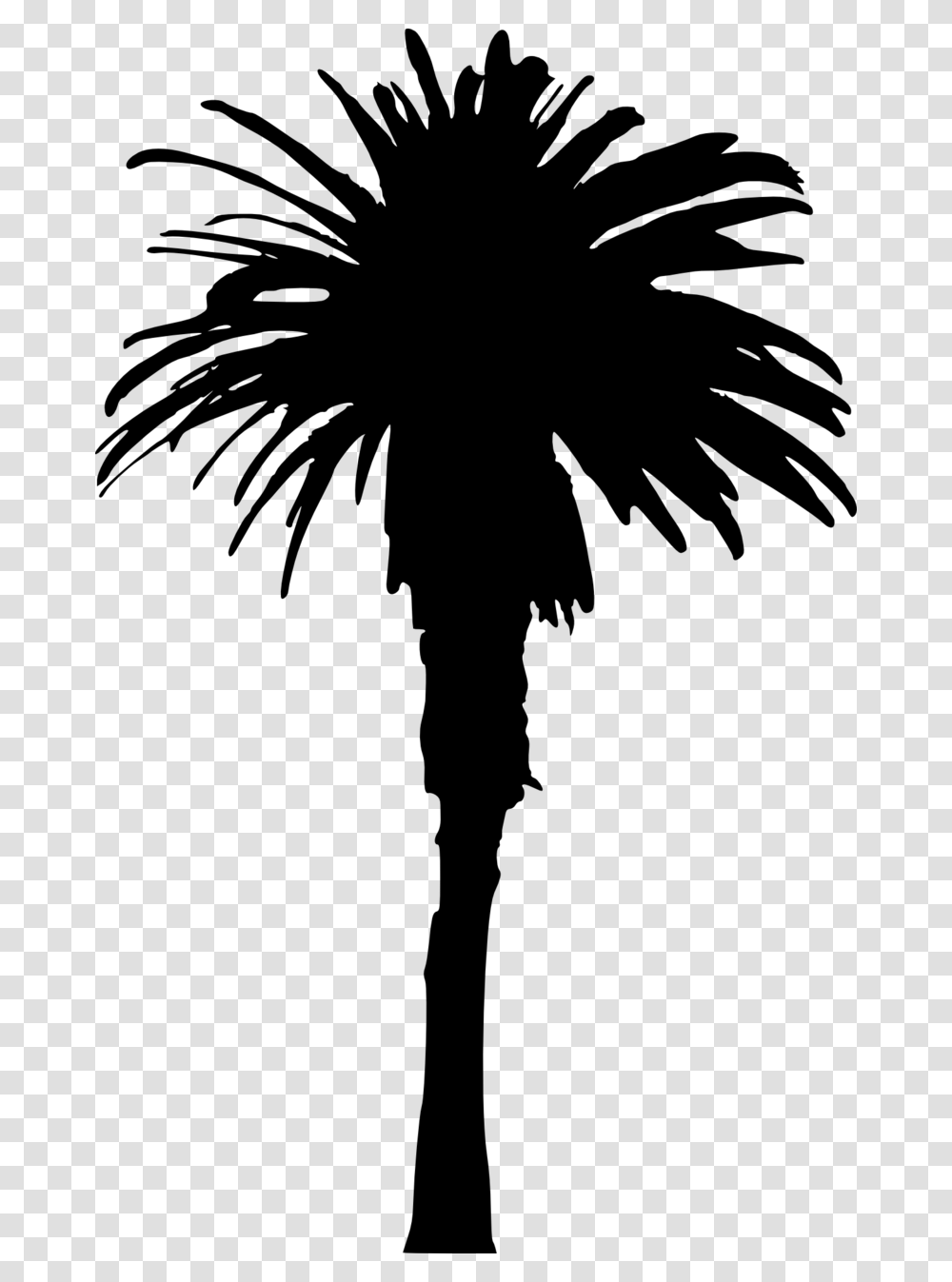 Single Palm Tree Silhouette, Gray, World Of Warcraft Transparent Png