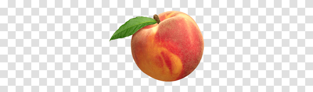Single Peach, Plant, Fruit, Food, Tennis Ball Transparent Png