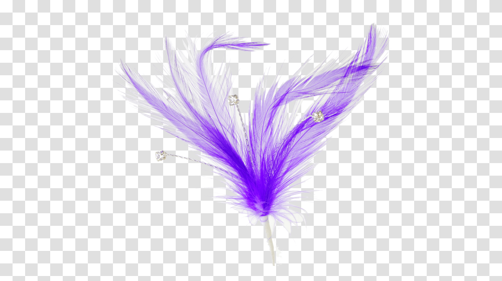 Single Peacock Feathers Download Flutters Feathers Animal Product, Purple, Dye, Plant, Clothing Transparent Png