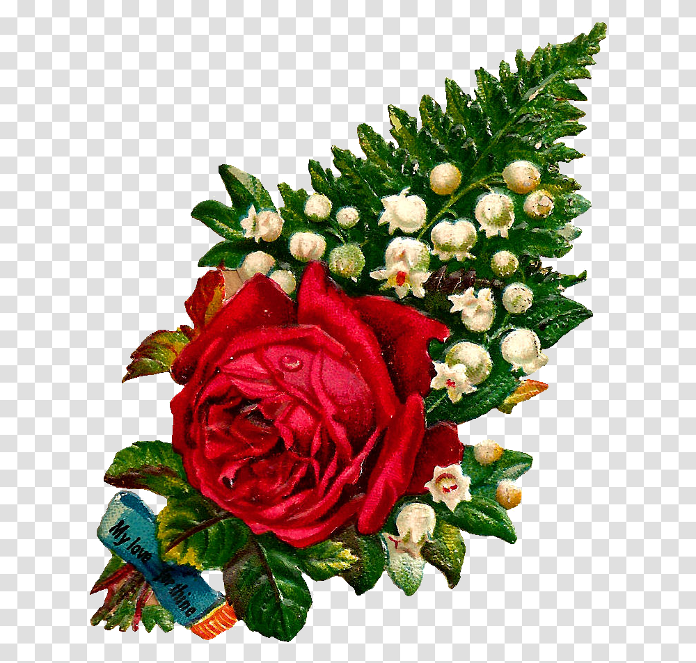 Single Red Rose Flower Love, Plant, Blossom, Flower Bouquet, Flower Arrangement Transparent Png