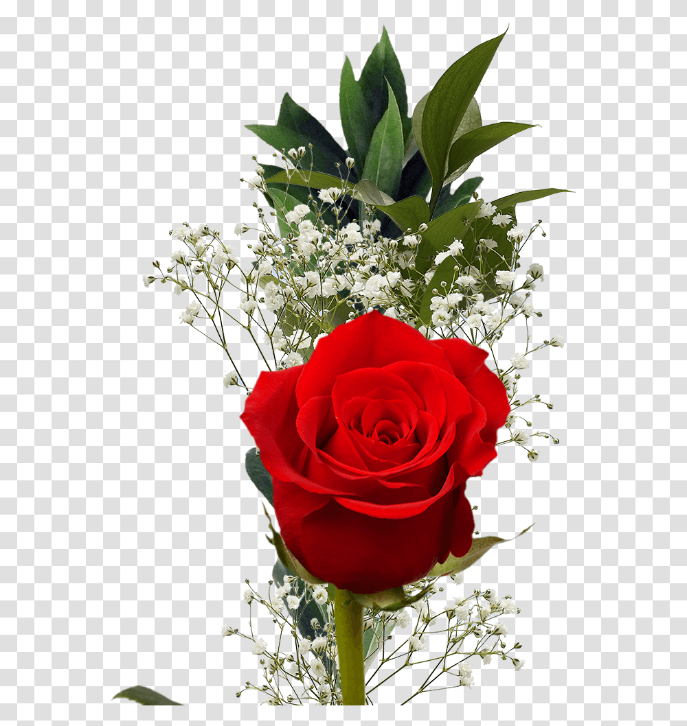 Single Red Rose With Greenery Valentine's Day Arrangements Rose, Plant, Flower, Blossom, Flower Arrangement Transparent Png