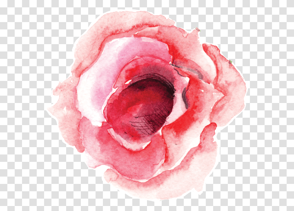 Single Rose Bloom Water Color Single Flower, Plant, Blossom, Mineral, Accessories Transparent Png
