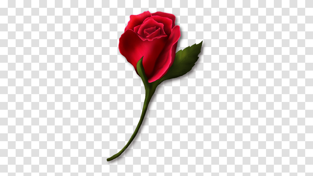 Single Rose Clip Art Clipart Floral Rose Stem, Plant, Flower, Blossom, Petal Transparent Png