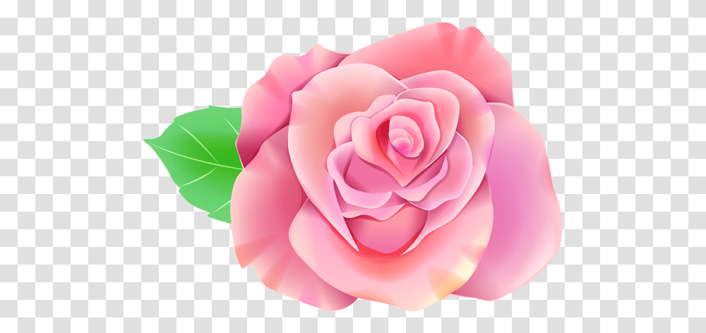 Single Rose Clip Art Image Single Flower Clipart, Plant, Blossom Transparent Png