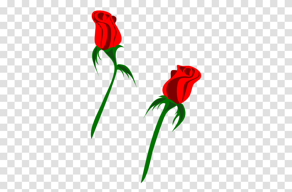 Single Rose Cliparts, Flower, Plant, Blossom Transparent Png