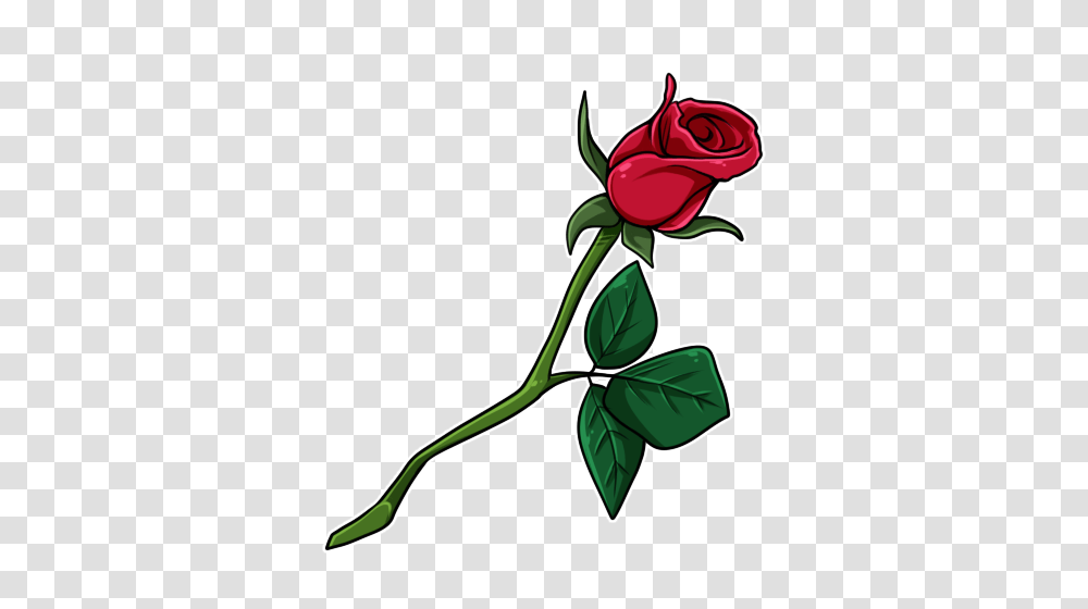 Single Rose, Flower, Plant, Blossom Transparent Png