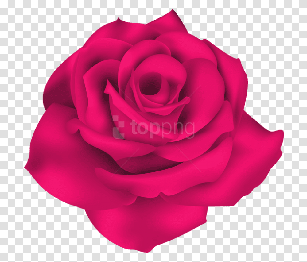Single Rose Petals, Flower, Plant, Blossom Transparent Png