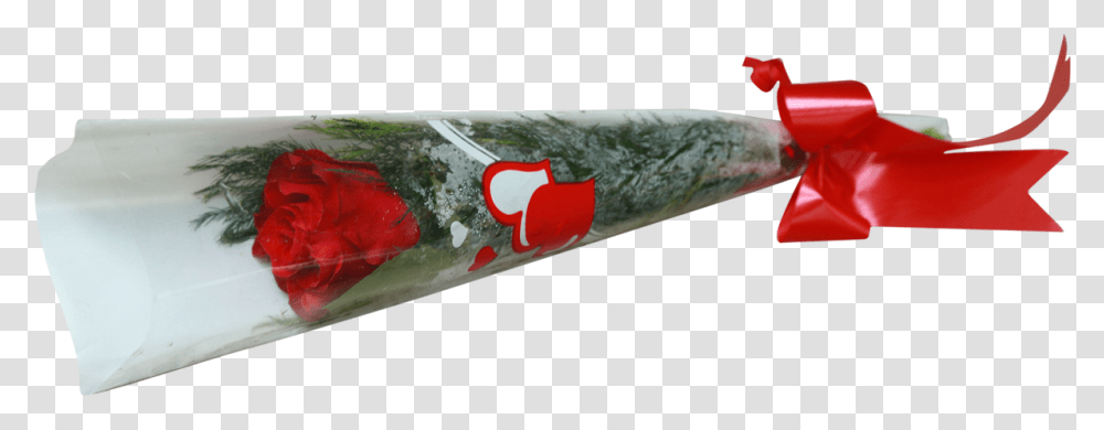 Single Rose With Cellophane Cone Garden Roses, Animal, Fish, Bomb, Weapon Transparent Png