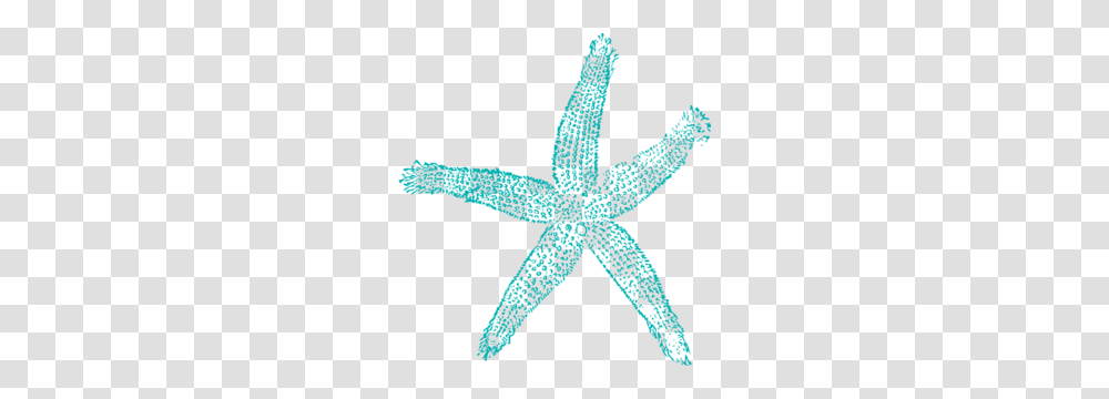 Single Starfish Light Teal Clip Art Jessicas Idea, Animal, Sea Life, Invertebrate Transparent Png