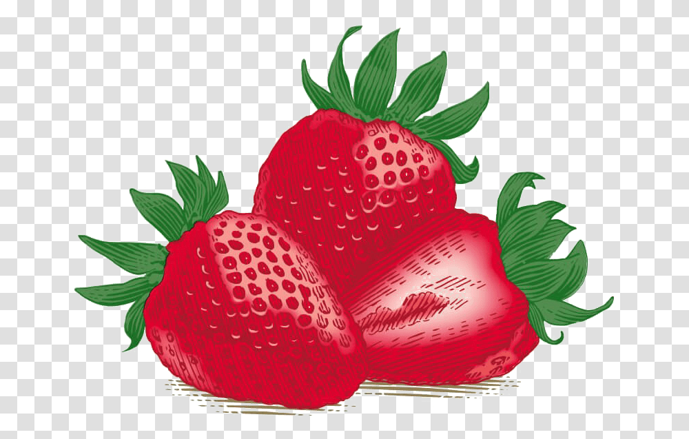Single Strawberry Download Free Burt's Bees Inc., Fruit, Plant, Food Transparent Png