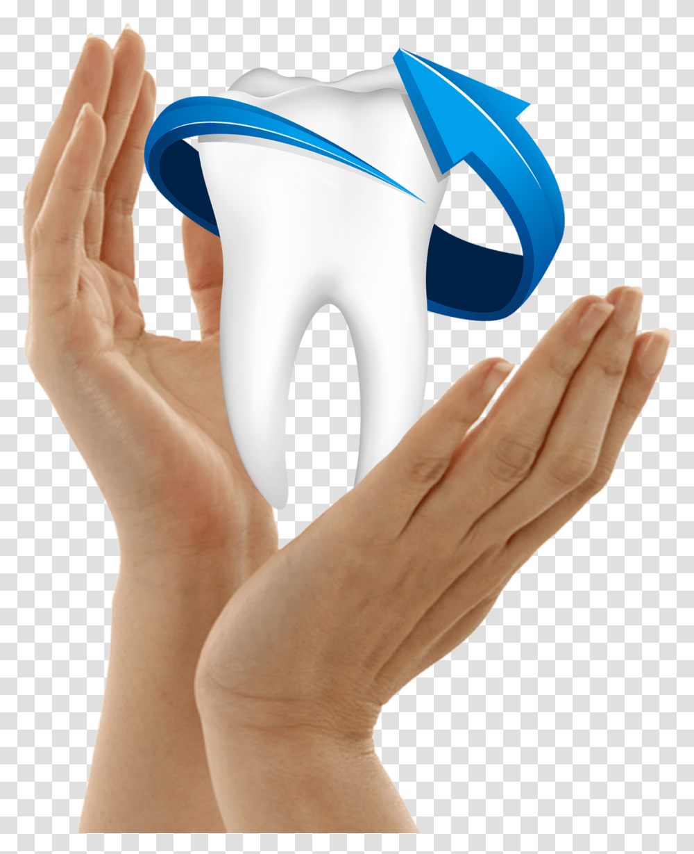 Single Teeth, Hand, Person, Human, Finger Transparent Png