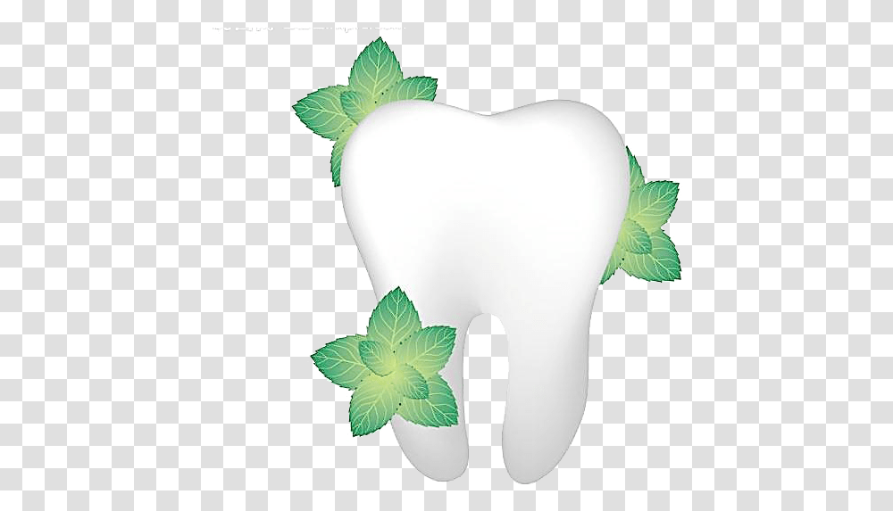 Single Teeth Image Flower Tooth, Potted Plant, Vase, Jar, Pottery Transparent Png