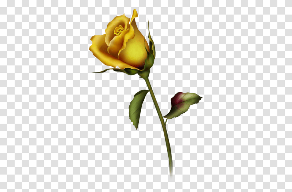 Single Yellow Rose Clipart, Flower, Plant, Blossom Transparent Png