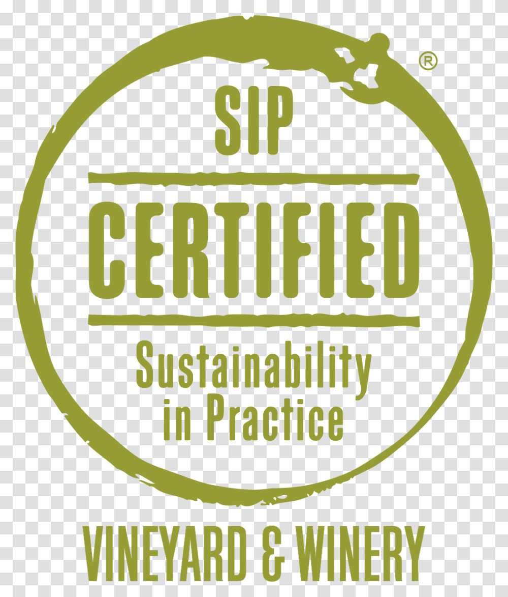 Sip Certified, Green, Interior Design, Indoors, Plant Transparent Png