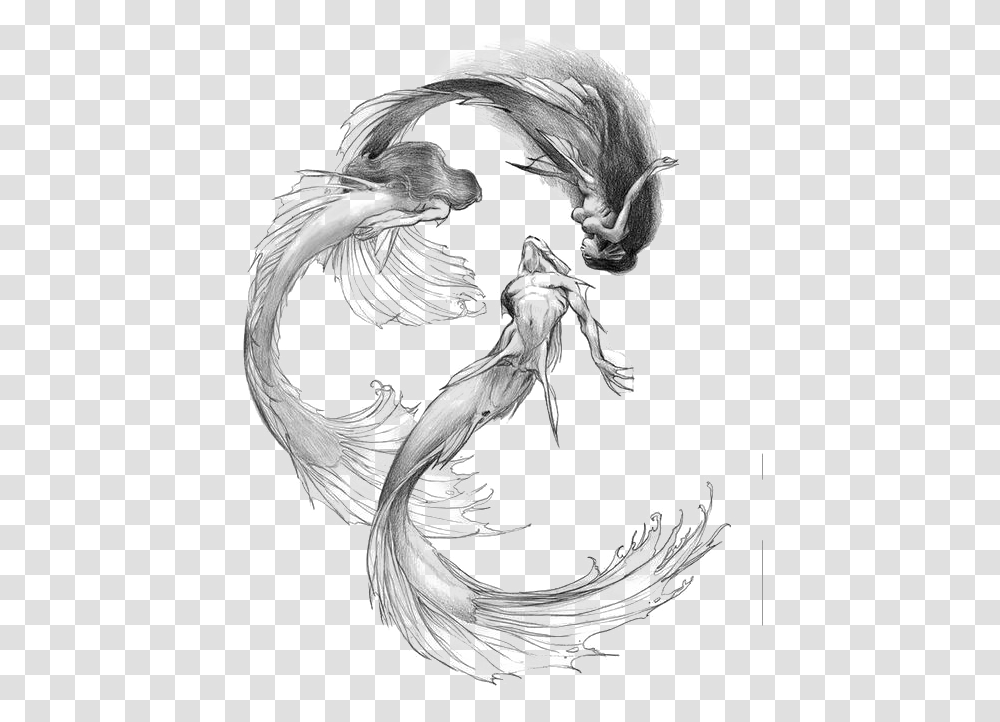 Siren Mermaid Drawing, Bird, Animal, Dragon Transparent Png
