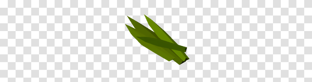 Sisal Agave Leaves, Plant, Aloe, Leaf, Cricket Insect Transparent Png