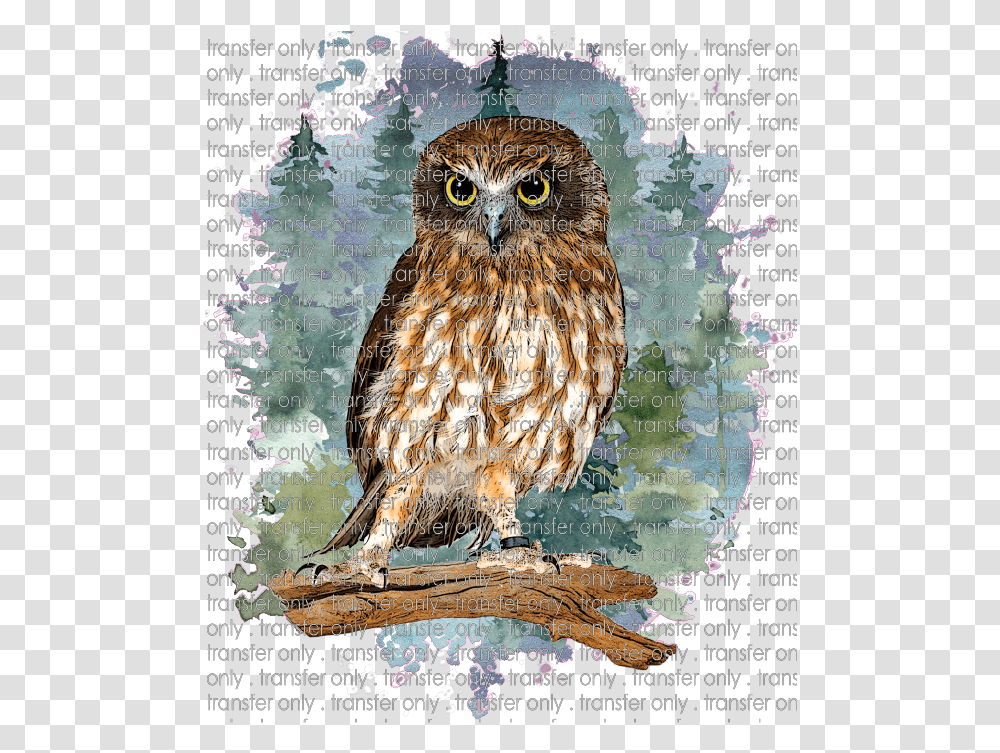 Siser Anm 14 Owl In Forest Eastern Screech Owl, Advertisement, Poster, Chicken, Poultry Transparent Png