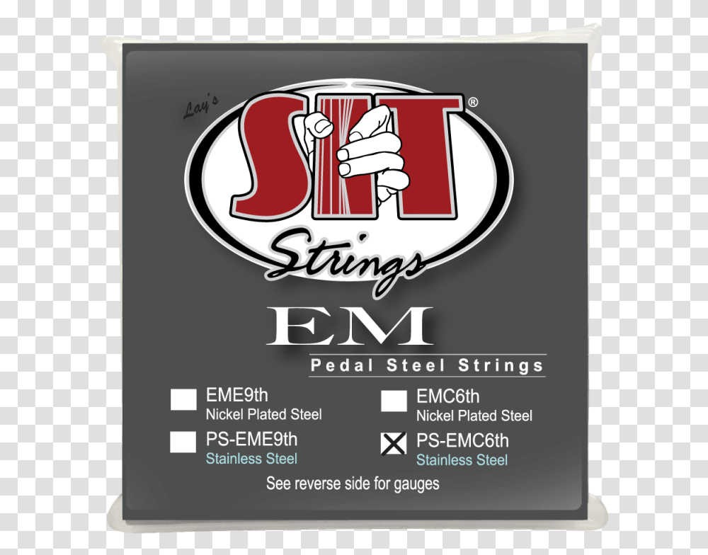 Sit Pedal Steel C6th Tuning Stainless Flat Wound Jazz Guitar Strings, Food, Advertisement, Word Transparent Png