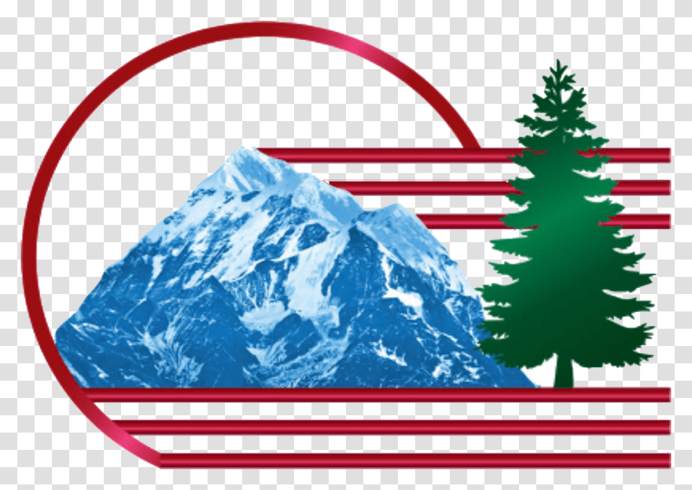 Site Logo Vector Pine Tree, Outdoors, Nature, Plant, Ice Transparent Png