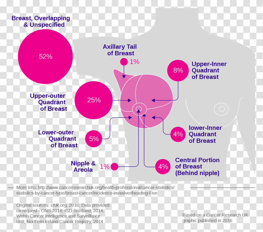 Site Of Breast Cancer, Advertisement, Poster, Flyer, Paper Transparent Png